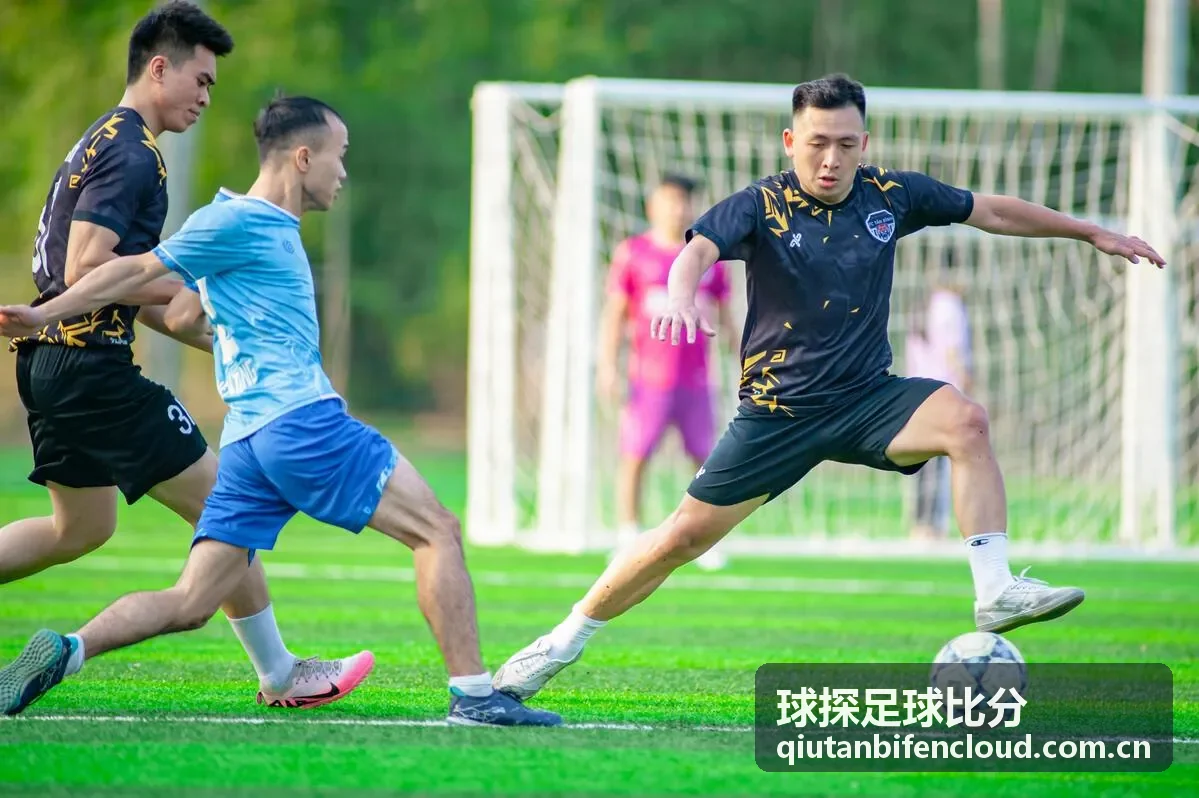 球探足球比分英冠联赛数据